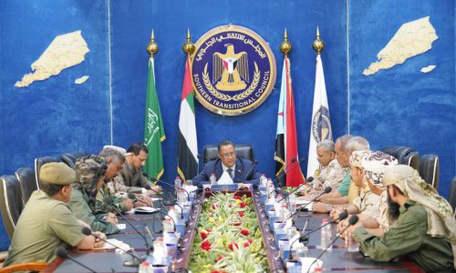 Dr. Al-Khobaji informs Military and Security Committee about the progress in the negotiation process